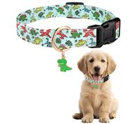 Collar de perro de verano, multicolor, diseño de flores y dinosaurios, correa para perros con cierre rápido, hebilla de plástico, cómodo collar de algodón para niños y niñas perros (dinosaurio, M