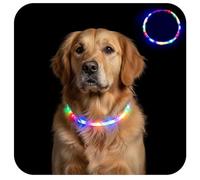 Collar de perro iluminado, luz LED recargable con 4 modos de parpadeo para pasear por la noche, colores arcoíris, recargable por USB, ajustable hasta 70 cm para todos los perros