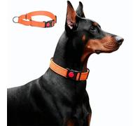 Collar de perro Martingala, collar reflectante para perros grandes, medianos y pequeños, collar de nailon con parada para perros Whippets, galgos (naranja, L)