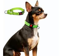 Collar de perro Martingala, reflectante para perros grandes, medianos y pequeños, collar de nailon con parada para perros Whippets, galgos (verde, XS)