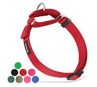 Collar de Perro y niña Martingale pequeño Cachorro, Duradero, Que no se Puede Escapar: Entrenamiento a pie Uso Diario (Pequeño S, Rojo)