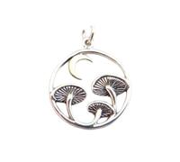 Collar de plata de ley 925 con tres hongos en círculo. Luna creciente de bronce. Regalo para cazadores, recolectores y chefs. Delicado regalo para jardineros de cuentos de hadas. Con cadena de 45