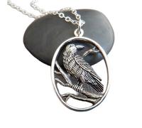 Collar de plata de ley 925 con un cuervo en una rama, pequeño colgante de pájaro realista, tótem espiritual, delicado y pequeño símbolo de Halloween, amuleto animal | Cadena de 45 cm | Chapado en