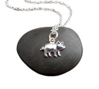 Collar de plata de ley 925 metamorfosis de cigarra nuevo cambio objetivo insecto amuleto delicadas alas decorativas joyería para uso diario naturaleza|con cadena de 45 cm|chapado en plata|_3164