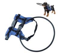 Collar de protección para perros con discapacidad visual, barrera reforzada, ajustable, para evitar obstáculos al aire libre, collar protector para perros ciegos