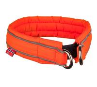 Collar de seguridad sin parar para perros - "Safe"