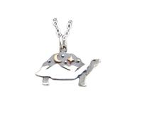 Collar de tortuga con cordillera en plata de ley 925. Luna y estrellas en bronce. Colgante de tortuga salvaje. Paciencia, sabiduría y fuerza | Con cadena de 45 cm | Chapado en plata | L_PN_0688