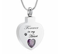 Collar de urna de cristal con forma de corazón para mujer, piedra natalicia, cremación, medallón de acero inoxidable, colgante Memorial Keepsake - para siempre en mi corazón, Acero inoxidable, No es
