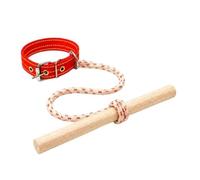 Collar Entrenador para Perros - Limitador De Velocidad con Barra Y Cuerda | Collar de adiestramiento para Cachorros,para Parque, Paseo, Patio, Calle, hogar, Exterior e Interior