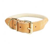 Collar Explor Forest para perro - Duvo Plus - Color: Beige | Mediciones: 41-49 cm/14 mm