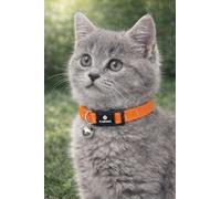 Collar Gato - Gatito Elza Naranja 15-22 cm - Nylon elástico Reflectante con Cascabel