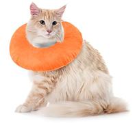 Collar Isabelino Gatos Grand, Campana para Gatos Collar Recuperación para No Rascarse Campanas -Collar Isabelino Cómodo(Naranja, L)