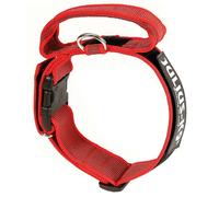 Collar Julius K9 Color & Gris con asa y cierre de seguridad para perros Julius-k