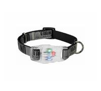 Collar LED para Mascotas Trixie Explore USB Negro M/L 35-55 cm