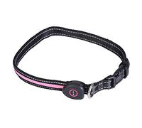 Collar LED para Perros, Nylon Recargable USB, Ajustable, Brillante para Seguridad Nocturna (Metro)