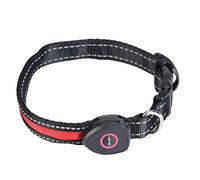 Collar LED para Perros, Nylon Recargable USB, Ajustable, Brillante para Seguridad Nocturna (S)