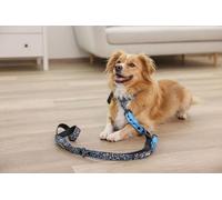 Collar Lima, AzulNegro, 25 mm x 36-45 cm