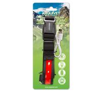 Collar Luminoso LED Rojo - talla L 48-60cm/2,5cm