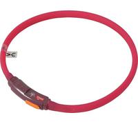 Collar luminoso para cachorros Bivouak