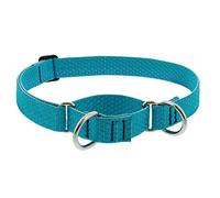 Collar Martingale para perro de Lupine ECO Collection de 1 pulgada de ancho, el mar tropical se ajusta de 15 a 22 pulgadas