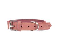 Collar Oasis 35cm x 12mm Rosa