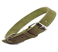 Collar Oasis 35cm x 12mm Verde