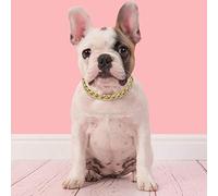 Collar para Pequeño Mediano, Accesorios de Joyería para Mascota Teddy Bulldog, Este Collar para The Polis Golden Collar para PerroCollar para PerroCollar para