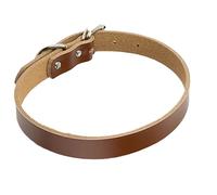 Collar para perro, cadena grande y pequeña, hebilla de cuero, ajustable, suave, cómodo, suministros para mascotas, accesorios (café, S)