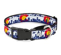 Collar para Perro Colorado Skyline/Mountains de Buckle-Down con diseño de Perro Martingale, 2,5 cm de Ancho, Cuello Mediano, 28 cm