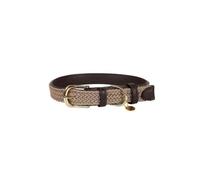 Collar para perro de nylon trenzado Kentucky 2XS