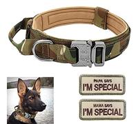 Collar para Perro Eeyfarog Ajustable con manija, Gris XL