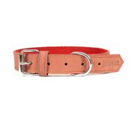 Collar para Perro Gloria Oasis Rojo (70 x 3 cm)