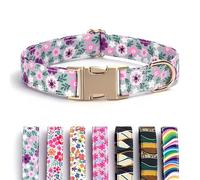 Collar para Perro Grabado Personalizado con Nombre y Número de Teléfono, Collares Ajustables Resistentes para Cachorros y Perros de Tamaño Extrapequeño, Pequeño, Mediano y Grande