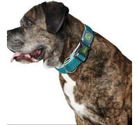 Collar para Perro Hunter Plus Hilo Turquesa 11