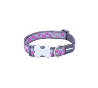 Red Dingo Bucklebone - Collar de Perro con diseño de Estrellas Rosa Intenso sobre Gris, Mediano 20 mm