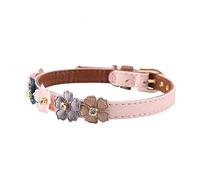 Collar para Perros, Collar para Perros Impermeable, Collar para Perros Wild One, Collar Ajustable para Mascotas, Collares para Perros Ajustables a Prueba de Olores con un Tamaño