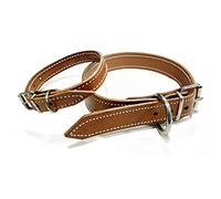 Collar para Perros de Cuero Premium - Longitud - 1cmx30cm