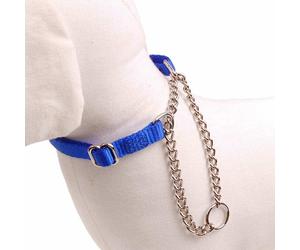 Collar para perros de nylon con cadena Azul eléctrico, 20 mm. de ancho