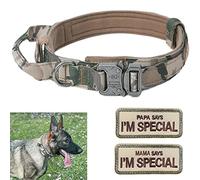 Collar para Perros Eeyfarog Ajustable con manija de Control, Gris L