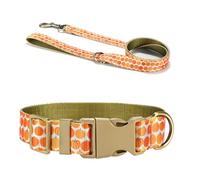 Collar para perros, hermoso cinturón de calabaza para correr y natación, collares para perros pequeños y grandes, correa larga, tema de cosecha