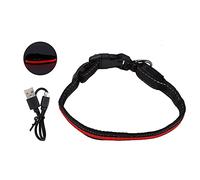 Collar para Perros Iluminado - Collar para Perros LED - Material de Poliéster - Clip de Metal Fácil de Usar - Reflectante Anti Enredos - con Capacidad de Carga USB - para Gatos (Cuello L)