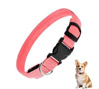 Collar para Perros | Triple Ajustable - Collar de Cuello con iluminación para Animales Mayores - para jardín, Camping, Senderismo, Viajes, Noche, Seguridad educación