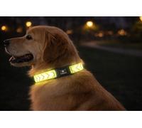 Collar Perro - Fergu Fluo Amarillo L - 45-65 cm - 25 mm - Nylon Regulable - Cierre de Clic - Reflectante