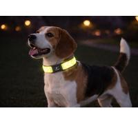 Collar Perro - Fergu Fluo Amarillo M - 40-55 cm - 20 mm - Nylon Regulable - Cierre de Clic - Reflectante