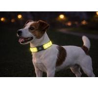 Collar Perro - Fergu Fluo Amarillo S - 30-45 cm - 15 mm - Nylon Regulable - Cierre de Clic - Reflectante