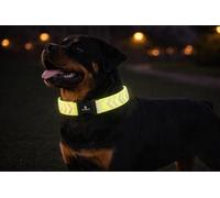 Collar Perro - Fergu Fluo Amarillo XL - 55-75 cm - 40 mm - Nylon Regulable - Cierre de Clic - Reflectante