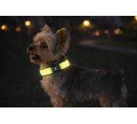 Collar Perro - Fergu Fluo Amarillo XS - 20-35 cm - 10 mm - Nylon Regulable - Cierre de Clic - Reflectante