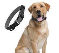 Collar Perro Pequeño Neopreno Forrado Ajustable, Coleira Cao Collares con Broche de Metal Robusto, Duradero y Cómodo Colla Universale, para Mediano y Pequeño, Negro, S(30-40cm)