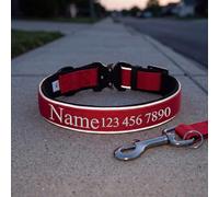 Collar Personalizado para Perro, Collar Identificativo Bordado con Nombre | Collar de perro bordado personalizado con ribete reflectante, fácil de poner y quitar, regalo ideal para mascotas