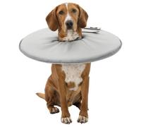 Collar protector para mascotas color Gris